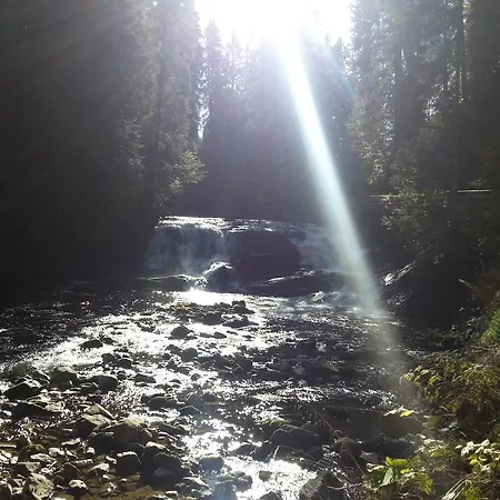 Haus Widdersteinblick Guest house