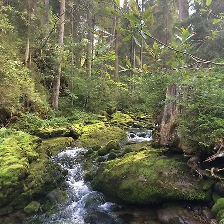Haus Widdersteinblick Riezlern