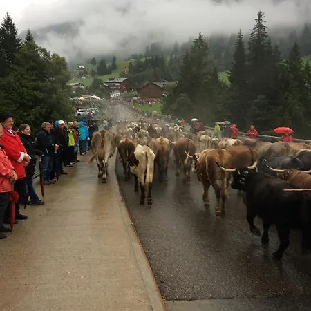 Haus Widdersteinblick 3*