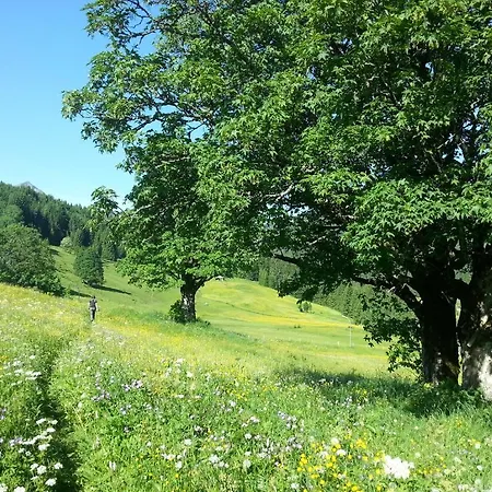 Haus Widdersteinblick 3*