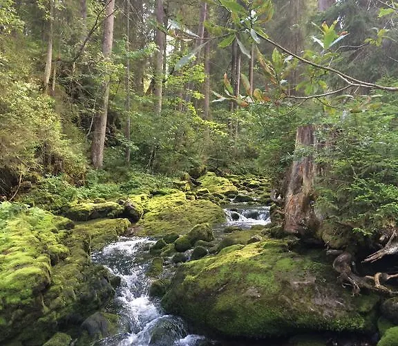 Haus Widdersteinblick リーツラーン