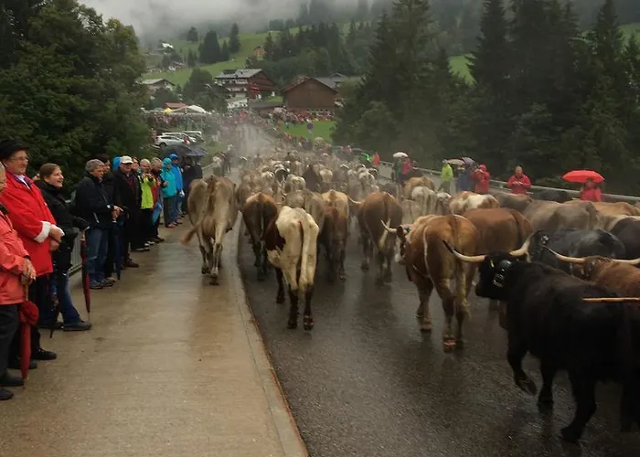 Haus Widdersteinblick 3*