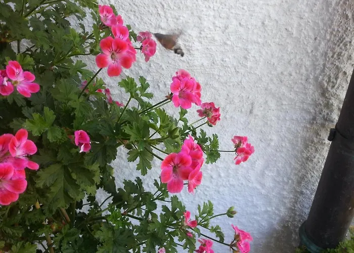 Haus Widdersteinblick Riezlern