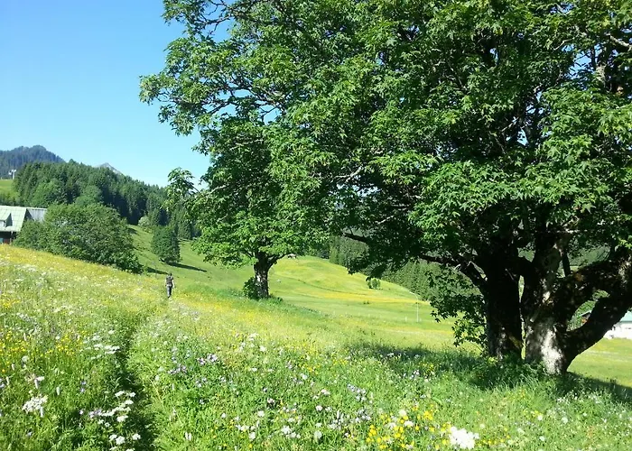 Haus Widdersteinblick 3*